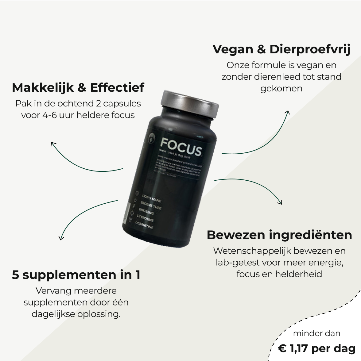 FOCUS: Formule voor Focus & Energie