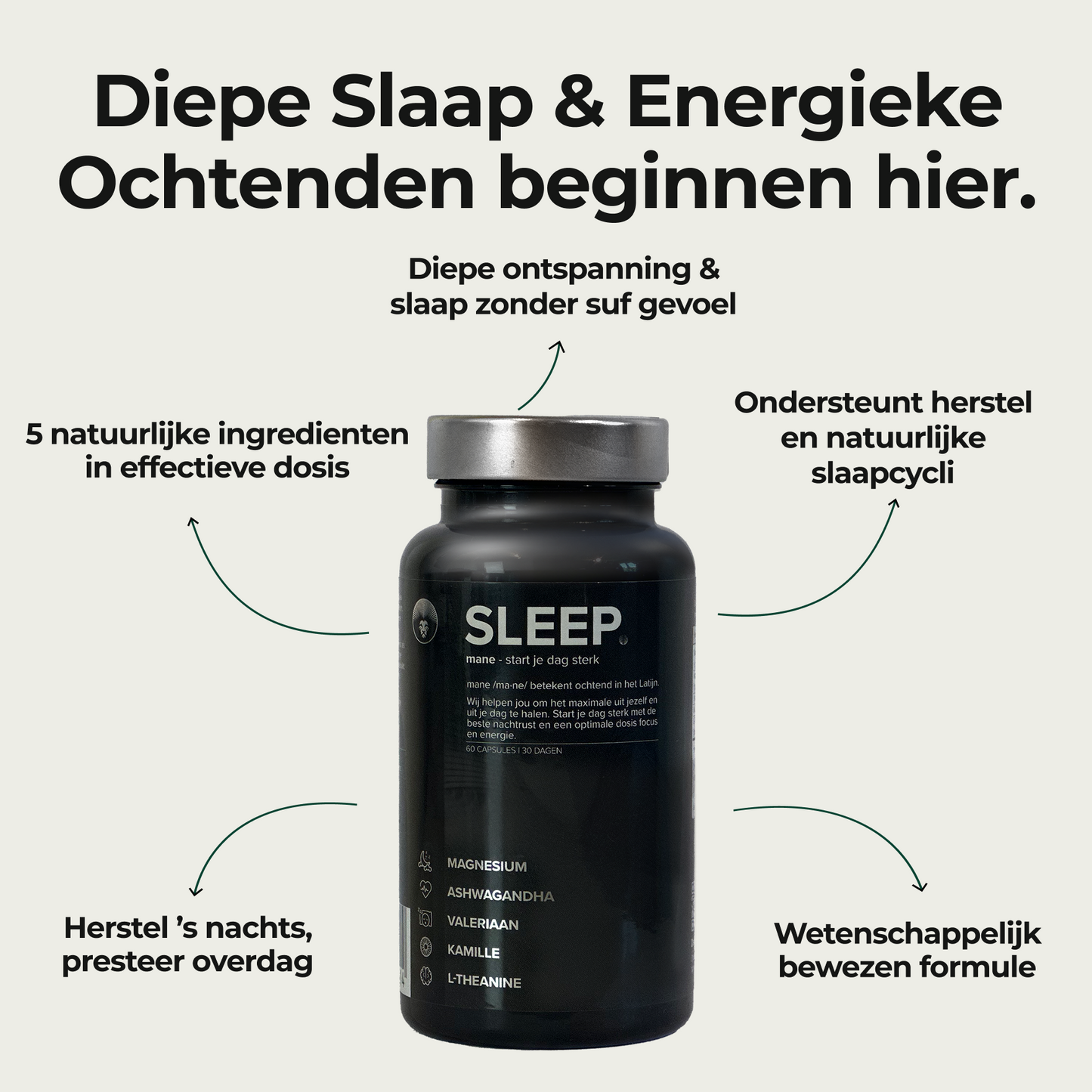 SLEEP: De Beste Nachtrust