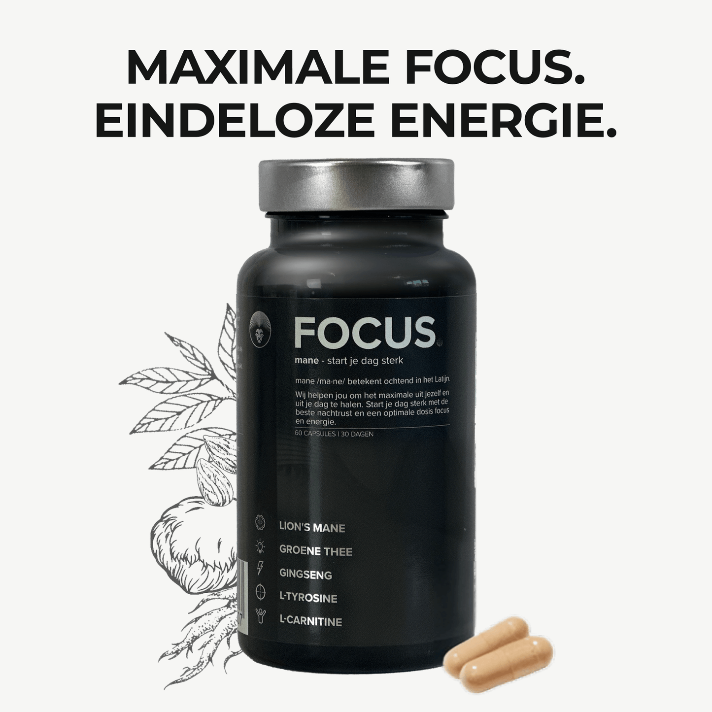 FOCUS: Formule voor Focus & Energie