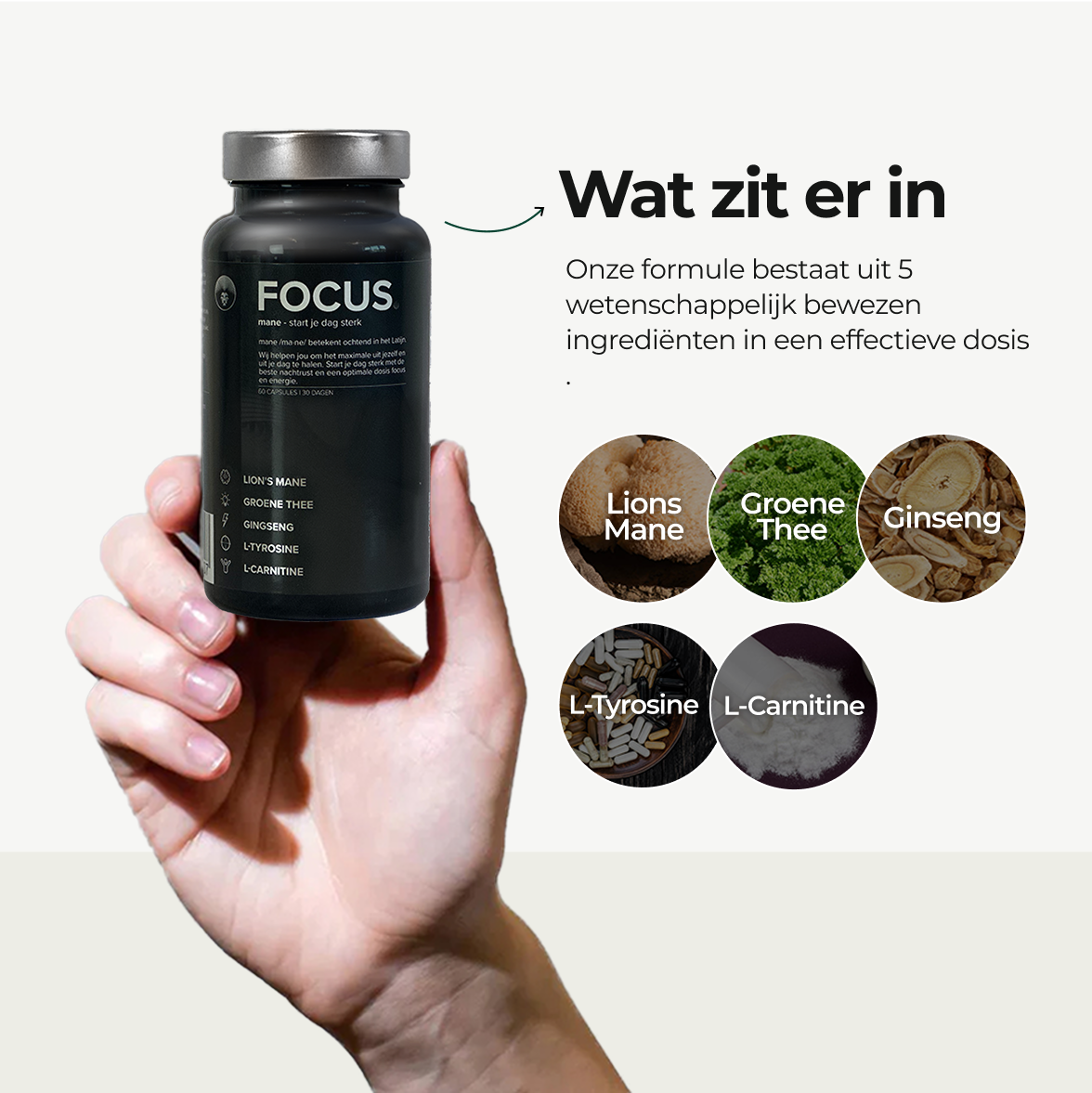 FOCUS: Formule voor Focus & Energie