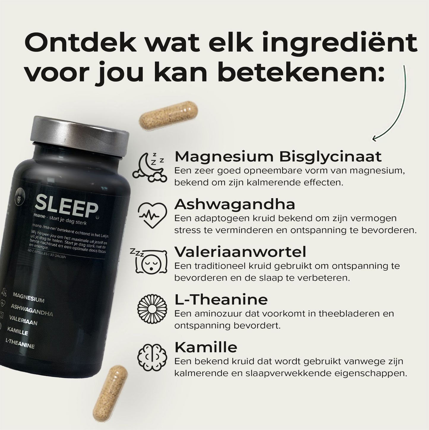 SLEEP: De Beste Nachtrust